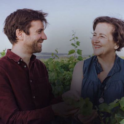 Berthelemot - Meursault